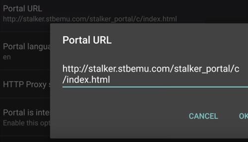 How To Install and Setup STB Emu on an Androd Step 6