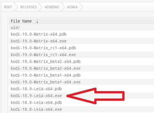 Download Kodi Correct Install File for 18.9 Leia Win 10
