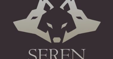 How To Install Seren Kodi Add-on 2023